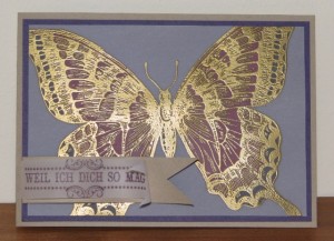 swallowtail1