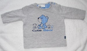 bear pulli