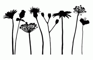 flower_silhouettes