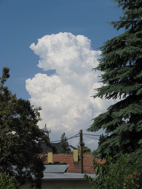 wolke