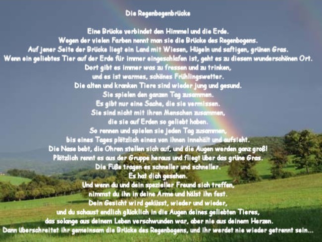 Text Regenbogenbrücke